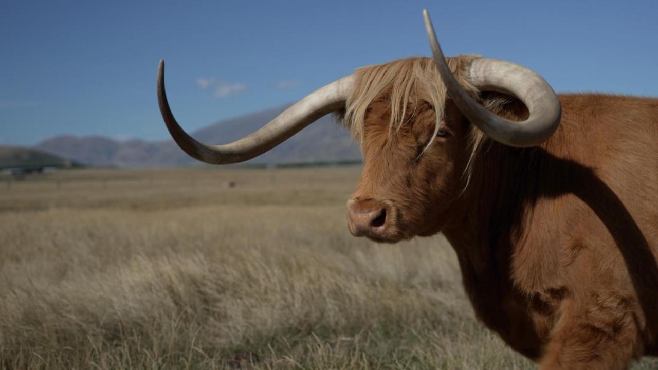 Highlands Farm Stay Twizel Eksteriør bilde